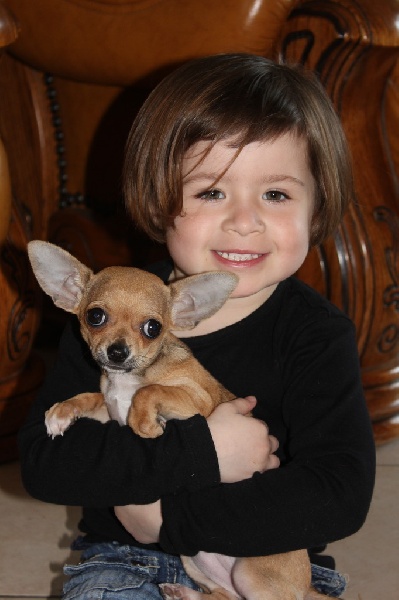 Publication : des aubépines de la Vilco Auteur : A.AVISSE