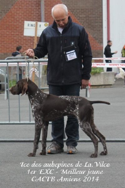 Publication : des aubépines de la Vilco Auteur : CFBA