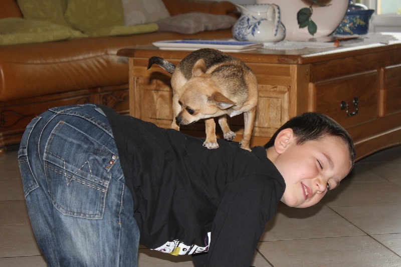 Publication : des aubépines de la Vilco Auteur : A.AVISSE