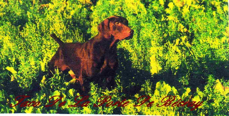 Publication : des aubépines de la Vilco Auteur : Aline AVISSE