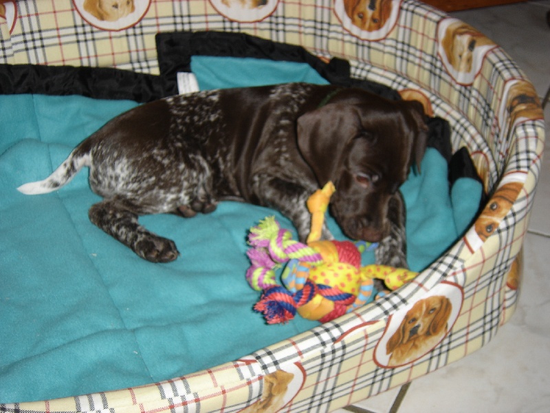 Publication : des aubépines de la Vilco Auteur : Aline AVISSE