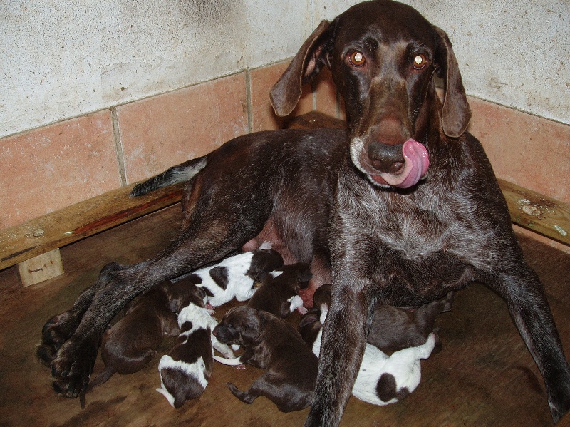 Publication : des aubépines de la Vilco Auteur : Aline AVISSE