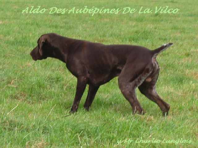 Publication : des aubépines de la Vilco Auteur : Aline AVISSE