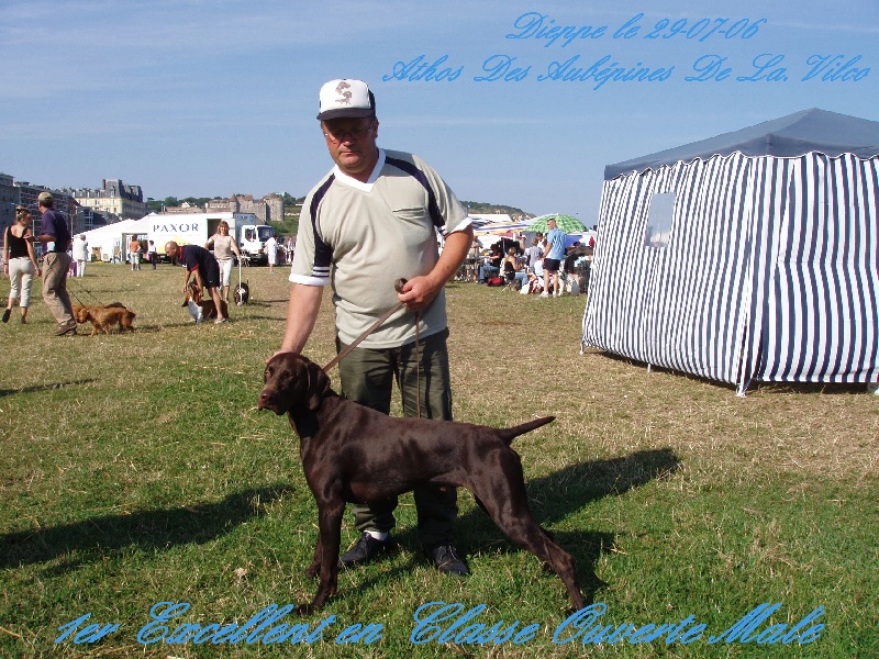 Publication : des aubépines de la Vilco Auteur : Aline AVISSE