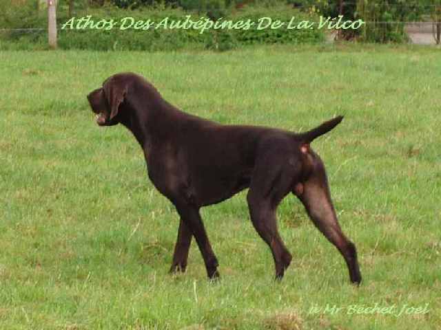 Publication : des aubépines de la Vilco Auteur : Aline AVISSE