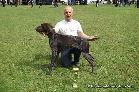 TR. CH. Ice des aubépines de la Vilco - 1 EXC - Meilleur jeune - 2ème du 7ème groupe