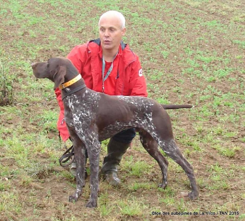 TR. CH. Ice des aubépines de la Vilco - TAN - Test Aptitude Naturelle