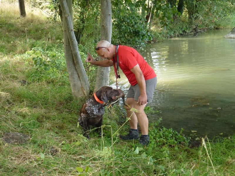 TR. CH. Ice des aubépines de la Vilco - REEP ( rapport en eau profonde)