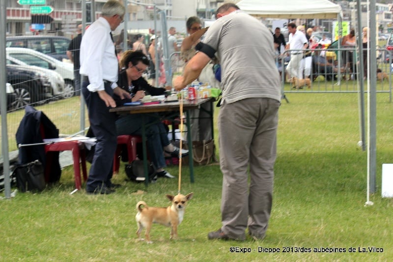 Galice Of merrily - 2ème EXC en classe ouverte