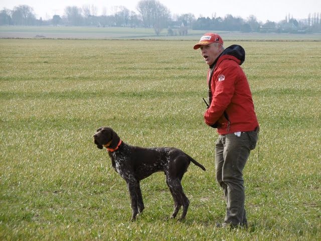 TR. CH. Ice des aubépines de la Vilco - 1er TB