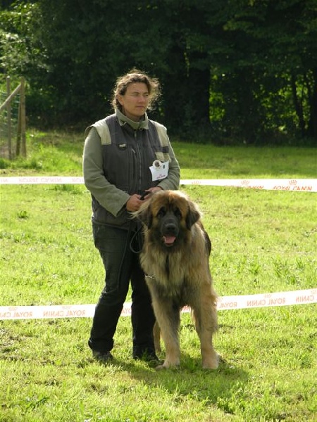 Baoulé rooïbos du Bouc D'Or - 3ème EXC