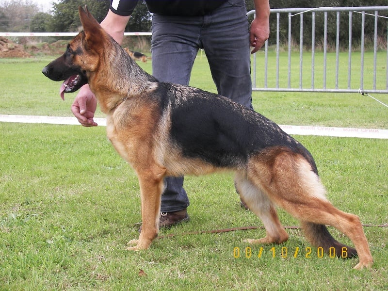 Publication : d'Il-Ha-Gwilun