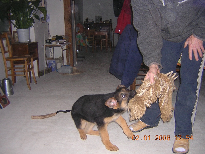 Publication : d'Il-Ha-Gwilun