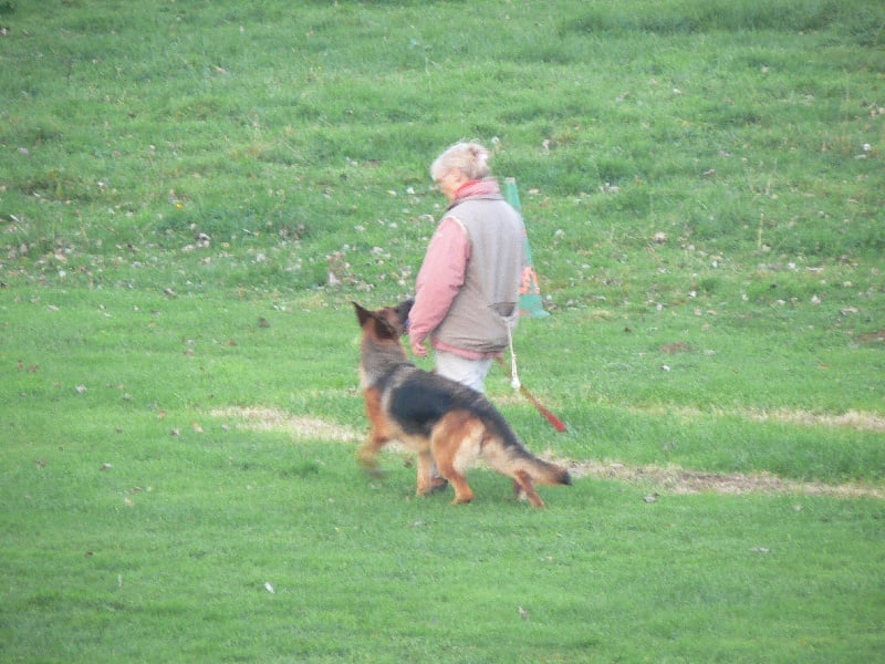 Publication : d'Il-Ha-Gwilun