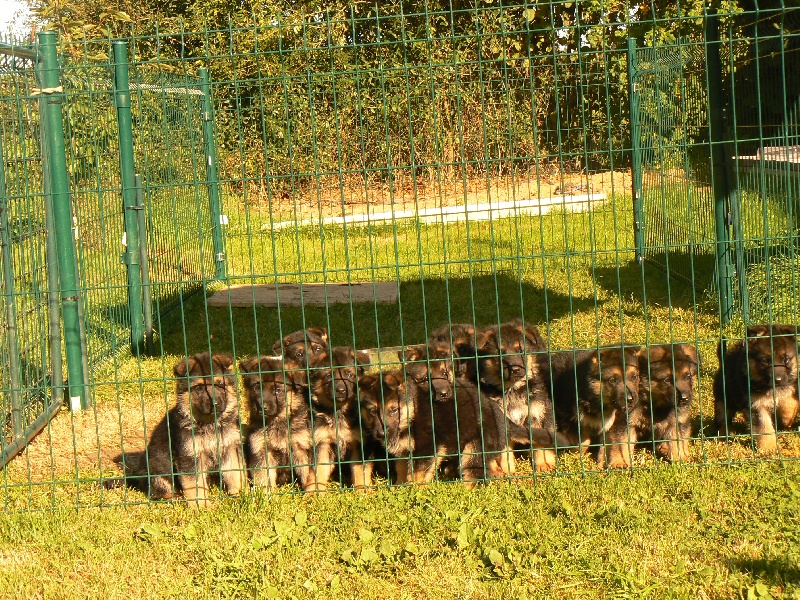 Publication : d'Il-Ha-Gwilun