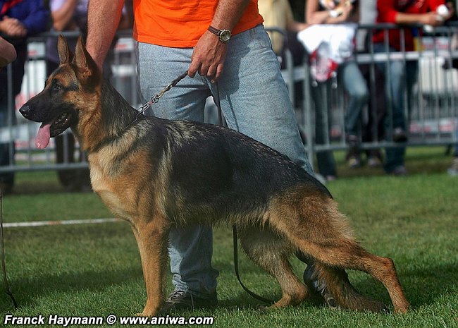 Publication : d'Il-Ha-Gwilun