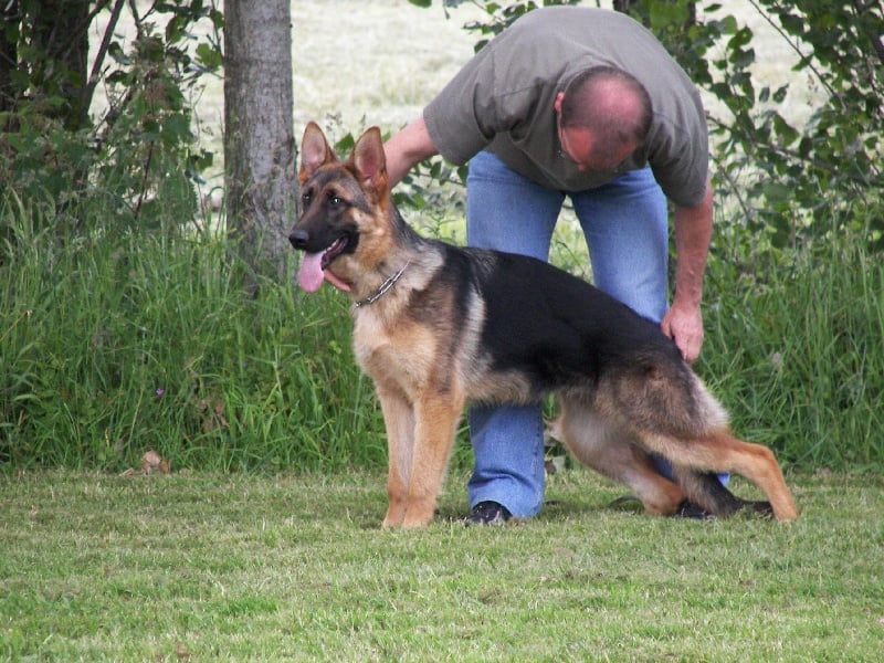 Publication : d'Il-Ha-Gwilun