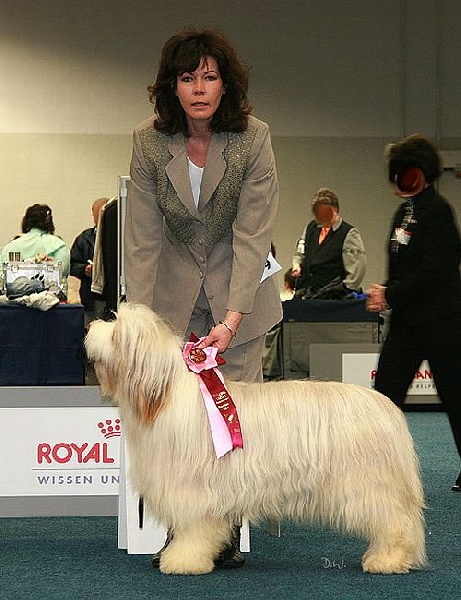 Publication : in vogue island Auteur : Kersten Nitzsche