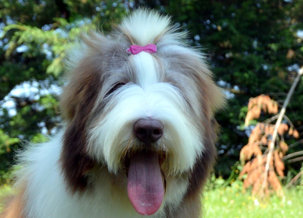 in vogue island Our sweet diamond