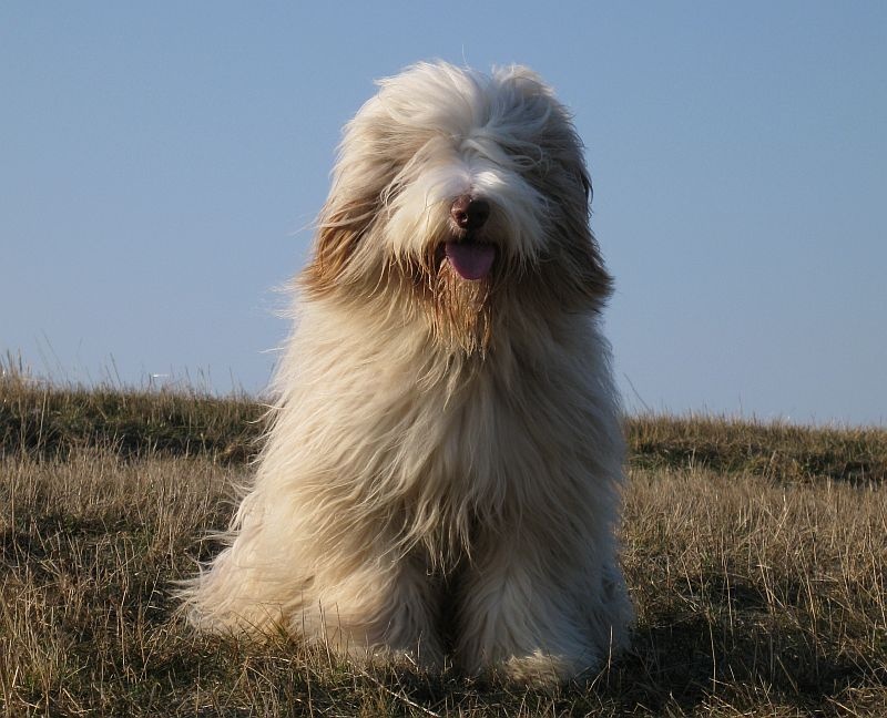 Publication : in vogue island Auteur : Kersten Nitzsche