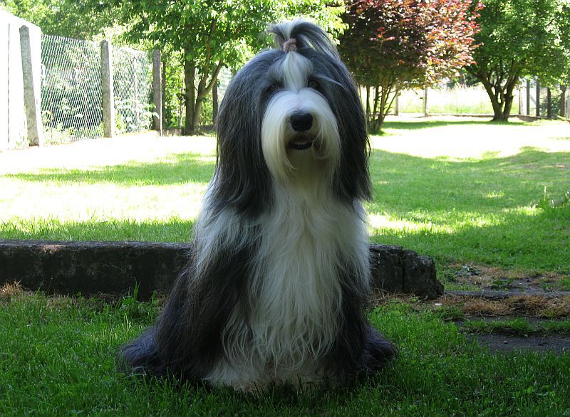 Publication : in vogue island Auteur : Kersten Nitzsche