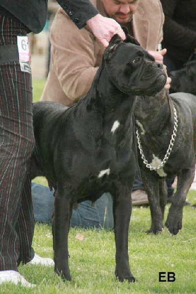 Publication : des gardiens d'Ecosse