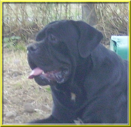 Publication : des gardiens d'Ecosse