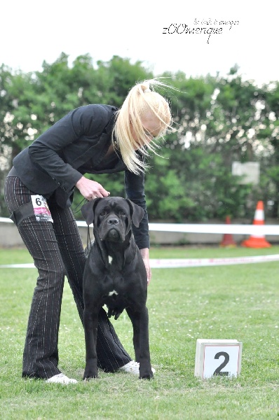 Publication : des gardiens d'Ecosse