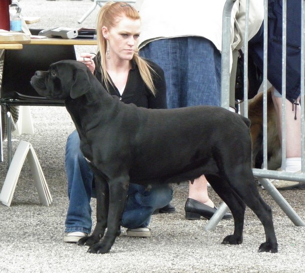 Publication : des gardiens d'Ecosse