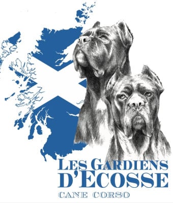 des gardiens d'Ecosse