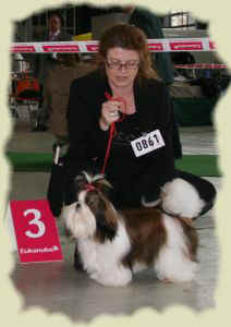 CH. Fan de toi de la sagesse d'Orient - 3ième excellent en classe jeune spéciale de race