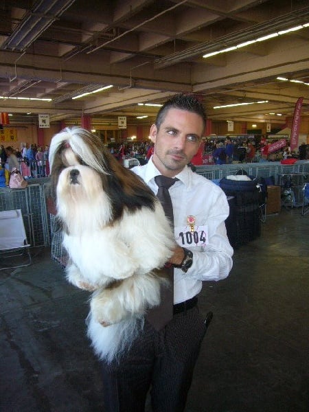 CH. Fan de toi de la sagesse d'Orient - BEST IN SHOW JEUNE