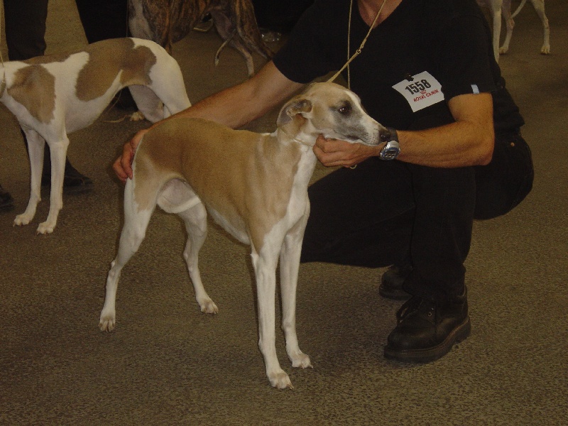 Publication : du Domaine des Etoiles Auteur : Lefrancois Sophie