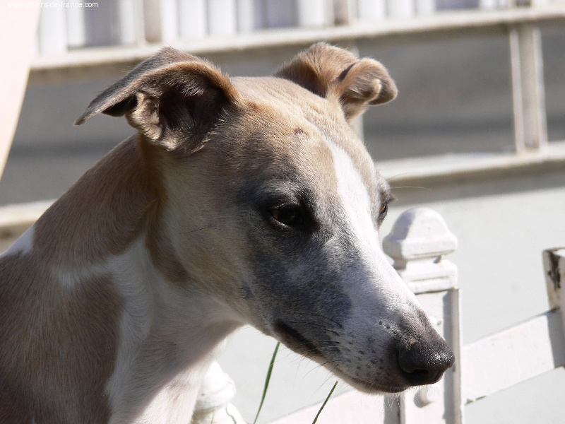 Tempus fugit Vénus - CLASSE JEUNE : 2ème TB