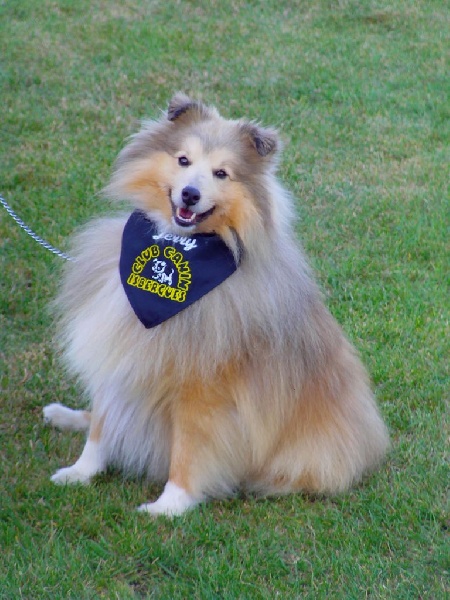 Publication : du prince des marais Auteur : Danielle BEAUCOURT