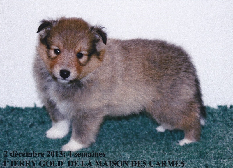 Publication : du prince des marais Auteur : Danielle BEAUCOURT