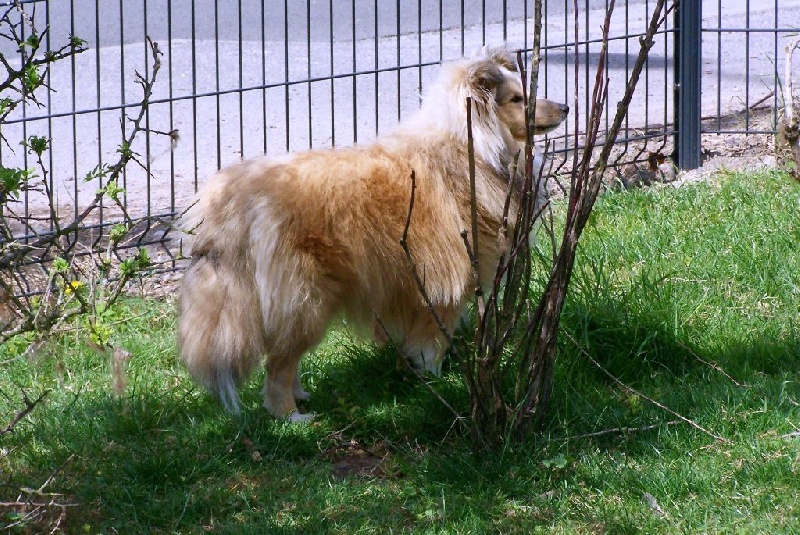 Publication : du prince des marais Auteur : Danielle BEAUCOURT