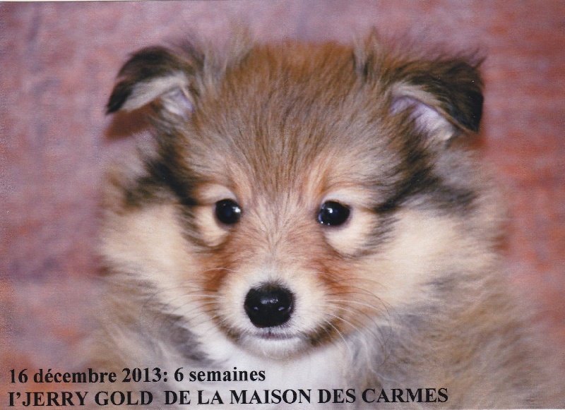 Publication : du prince des marais Auteur : Danielle BEAUCOURT