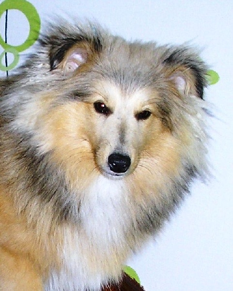 Publication : du prince des marais Auteur : Danielle BEAUCOURT