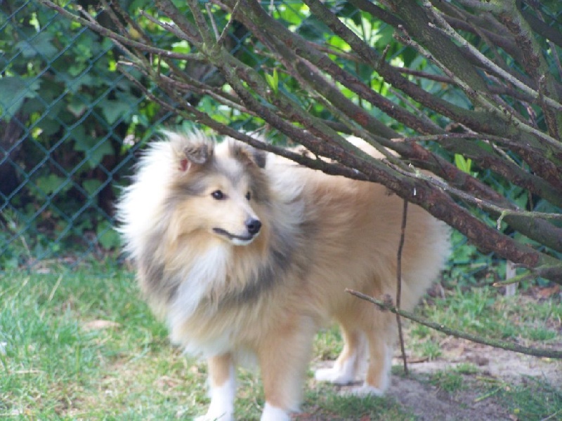 Publication : du prince des marais Auteur : Danielle BEAUCOURT