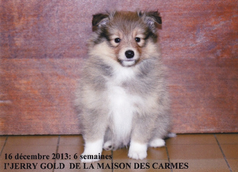 Publication : du prince des marais Auteur : Danielle BEAUCOURT