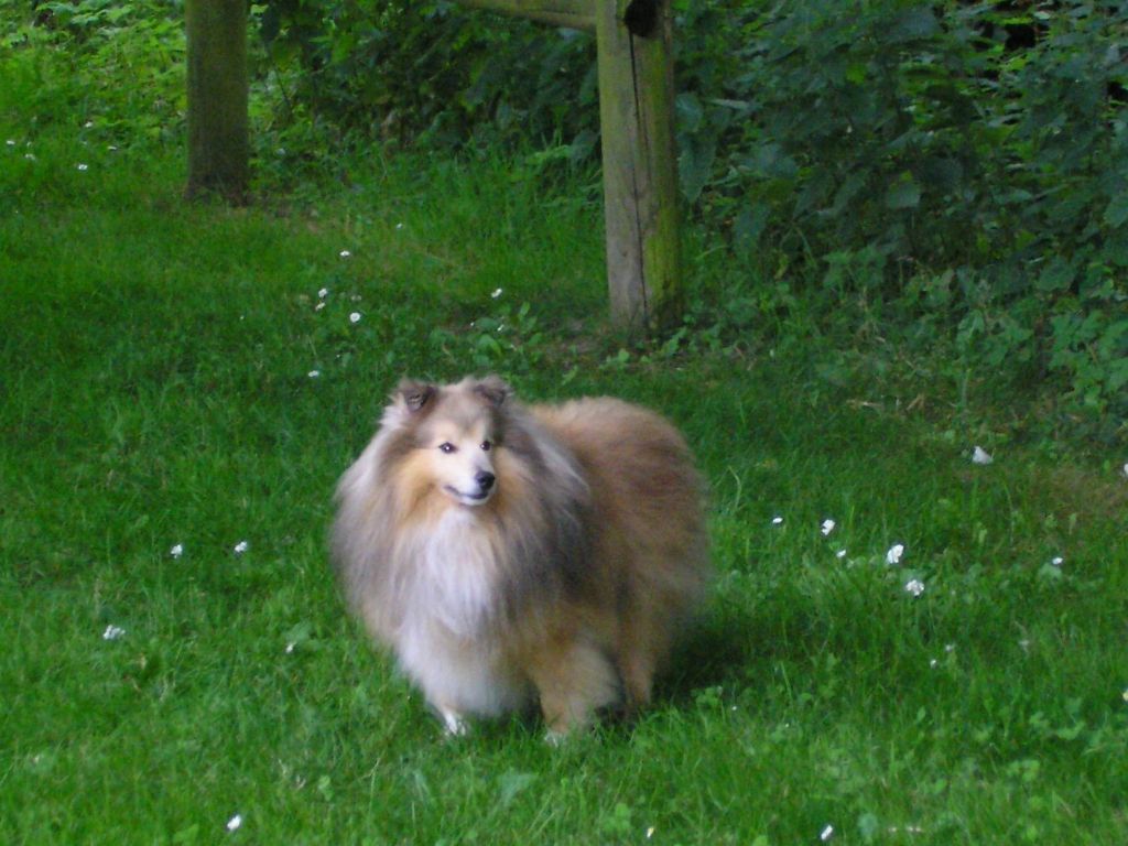 Publication : du prince des marais Auteur : Danielle BEAUCOURT