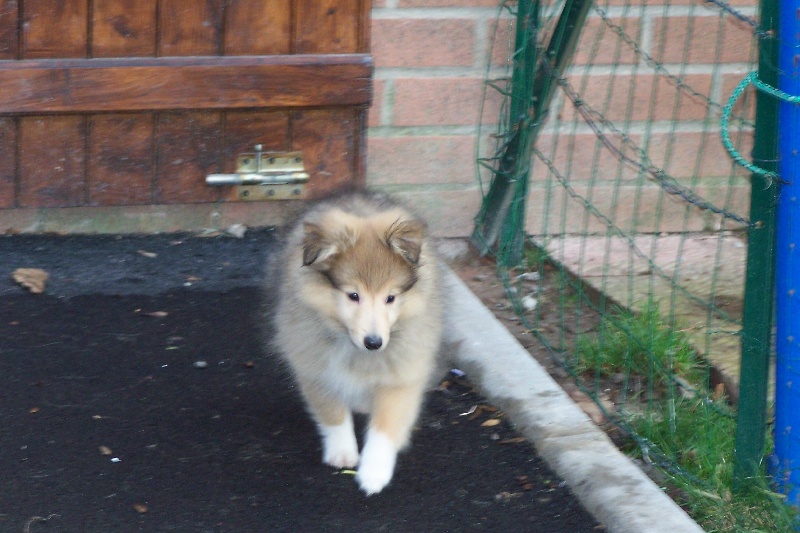 Publication : du prince des marais Auteur : Danielle BEAUCOURT