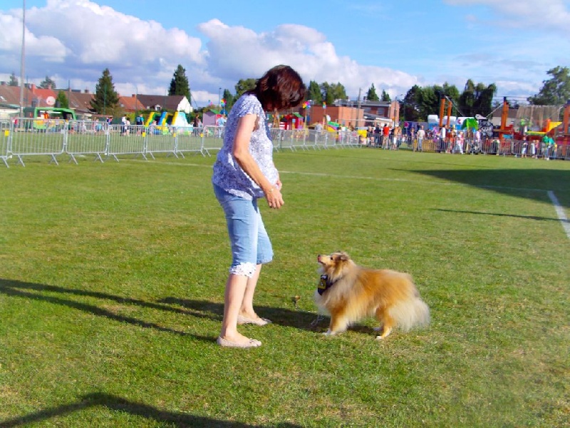 Publication : du prince des marais Auteur : Danielle BEAUCOURT