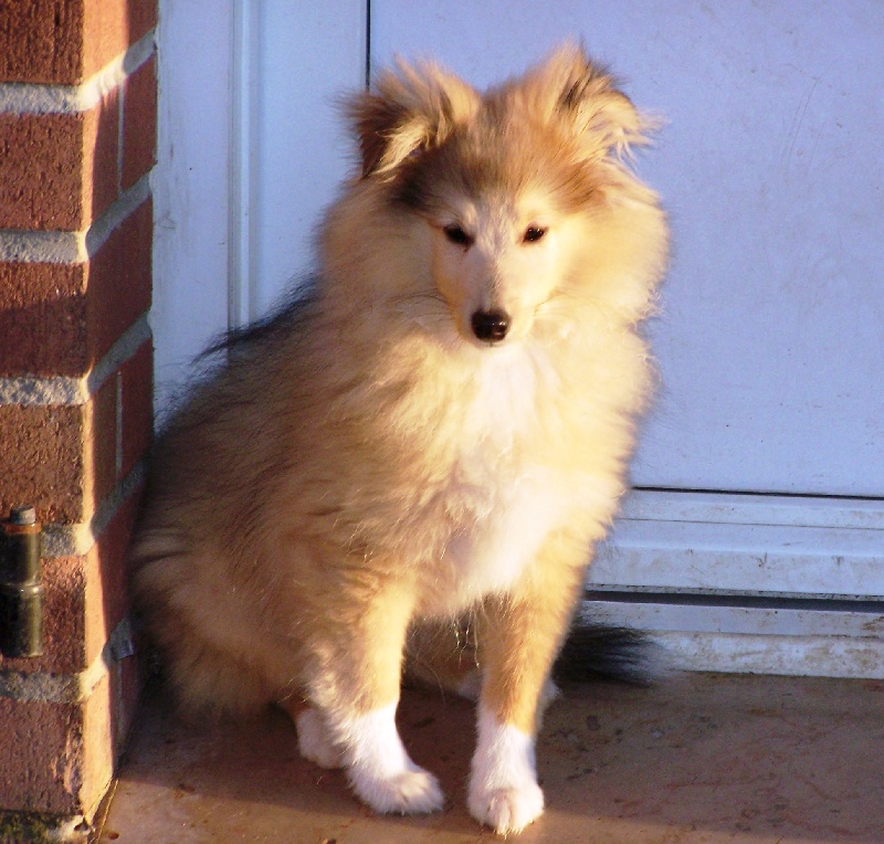 Publication : du prince des marais Auteur : Danielle BEAUCOURT