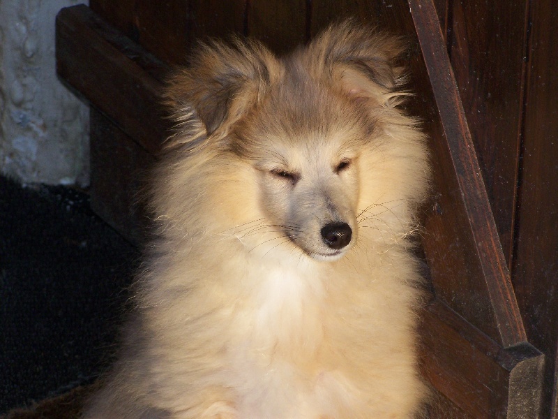 Publication : du prince des marais Auteur : Danielle BEAUCOURT