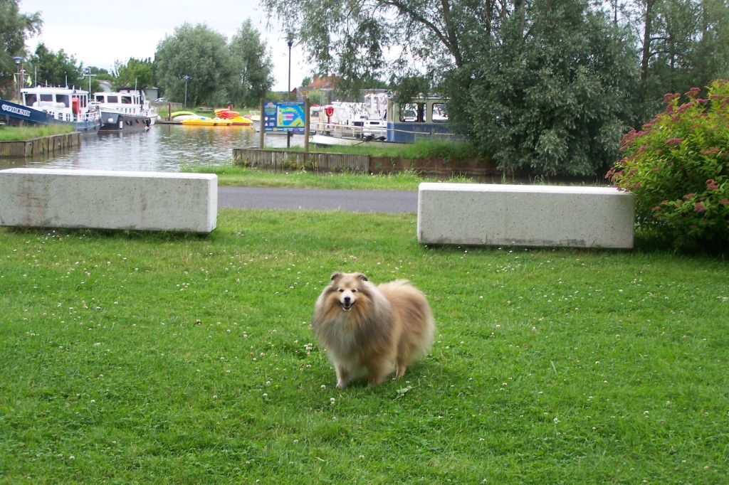 Publication : du prince des marais Auteur : Danielle BEAUCOURT