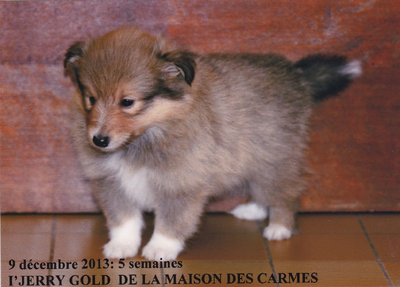 Publication : du prince des marais Auteur : Danielle BEAUCOURT