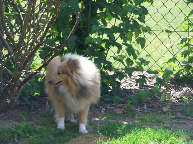 Publication : du prince des marais Auteur : Danielle BEAUCOURT