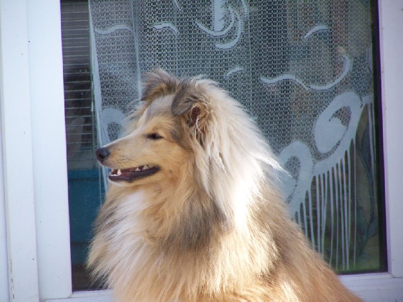 Publication : du prince des marais Auteur : Danielle BEAUCOURT